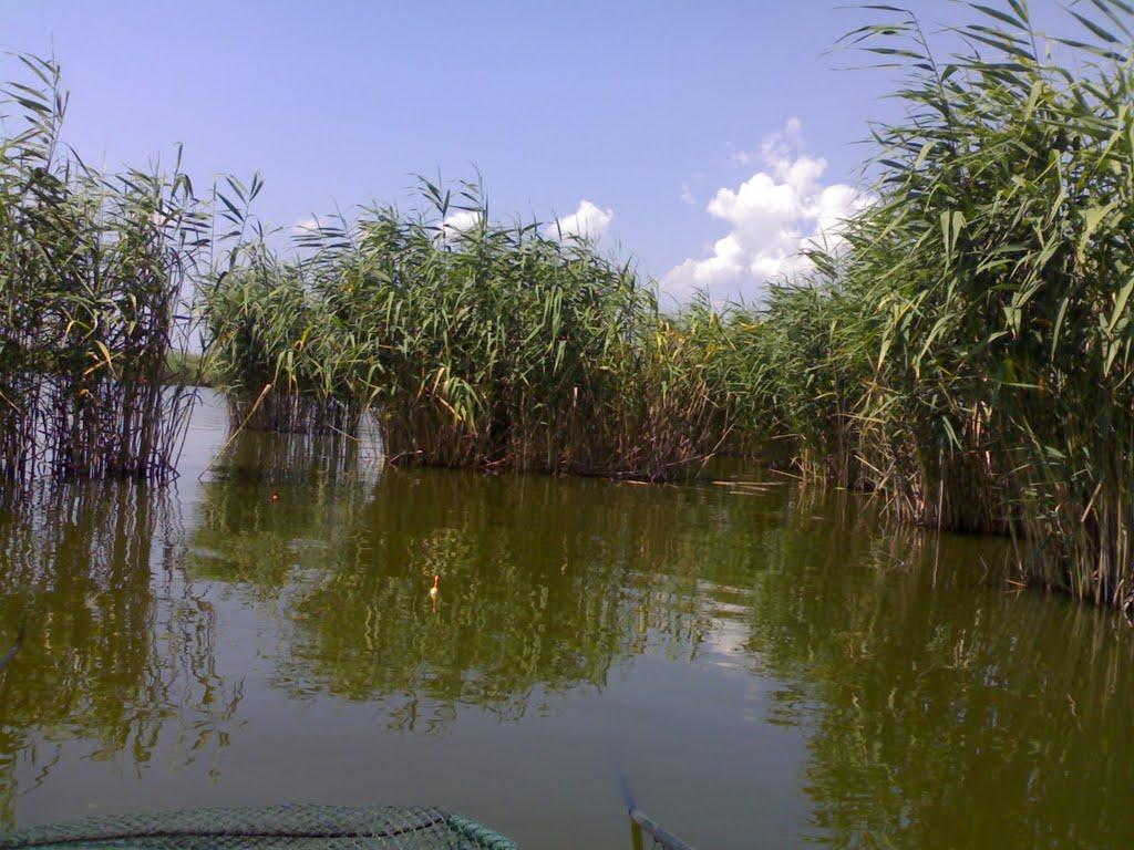 Першотравневе з panoramio.com - Першетравневое