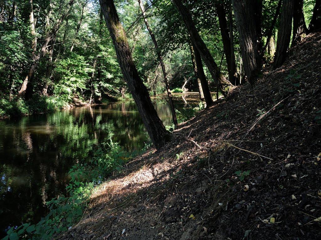 Чома з panoramio.com - Чома