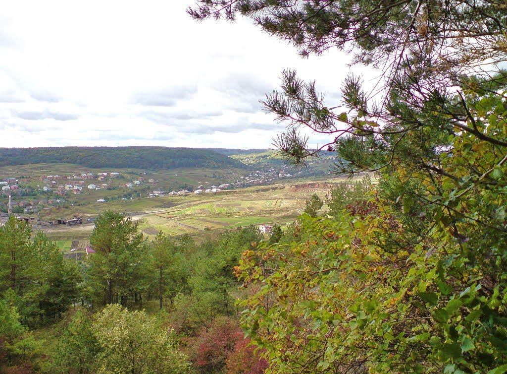 Бережани з panoramio.com - Бережаны