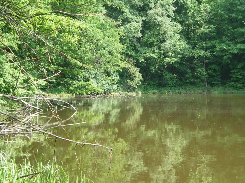 Доброславівка з panoramio.com - Доброславівка