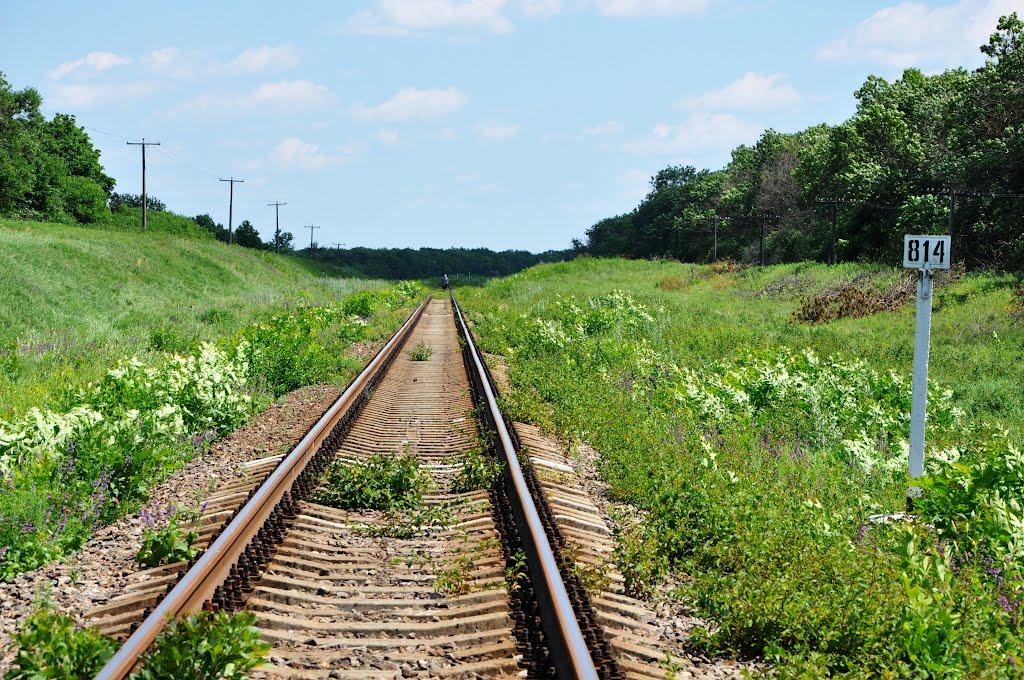 Красна Чапліївка з panoramio.com - Красная Чаплиевка