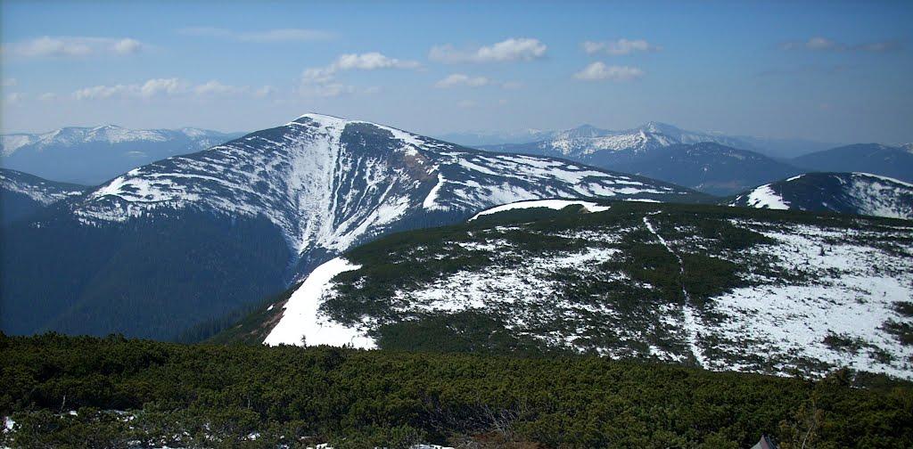 Осмолода з panoramio.com (ч.2) - Осмолода