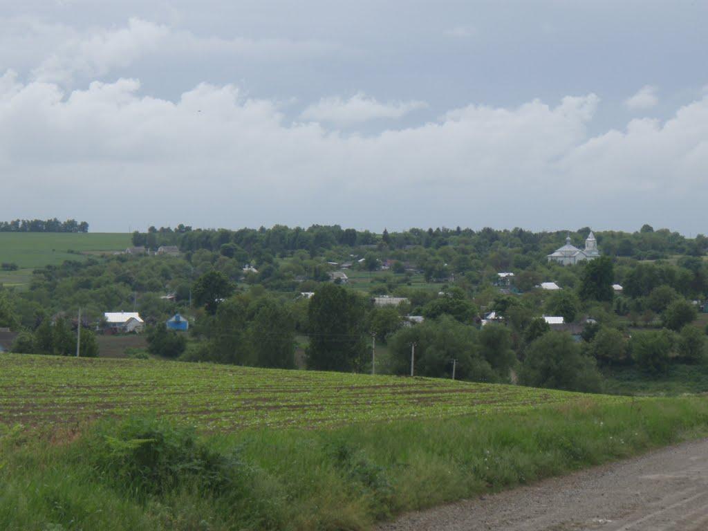 Крищинці з panoramio.com - Крищинці