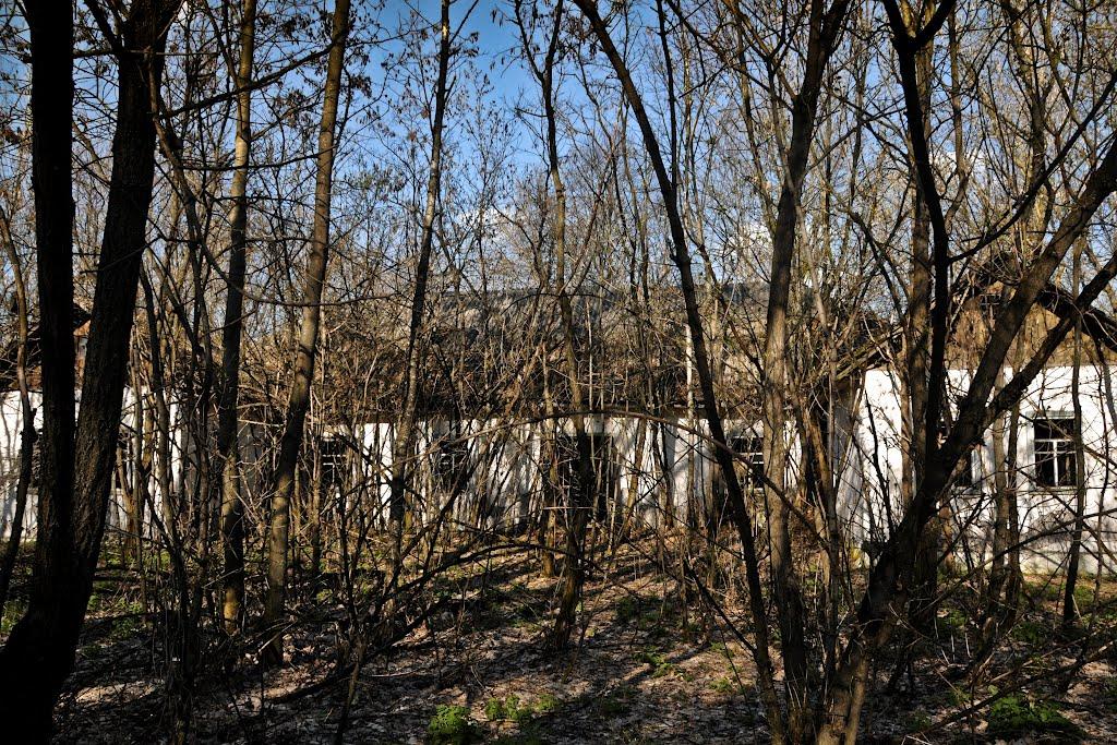Чорнобиль з panoramio.com (ч.2) - Чернобыль
