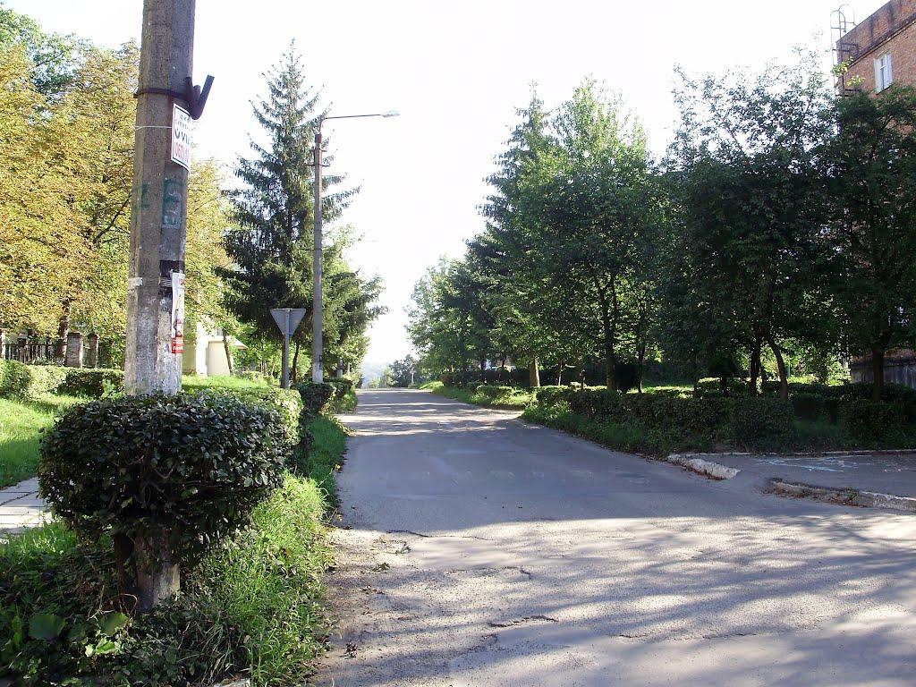 Новий Розділ з panoramio.com - Новый Роздол