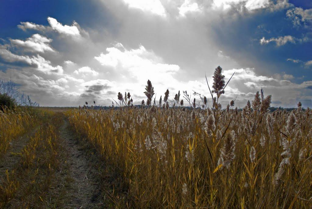 Львів з panoramio.com - Львів