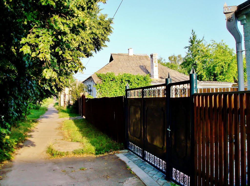 Звенигородка з panoramio.com - Zvenigorodka