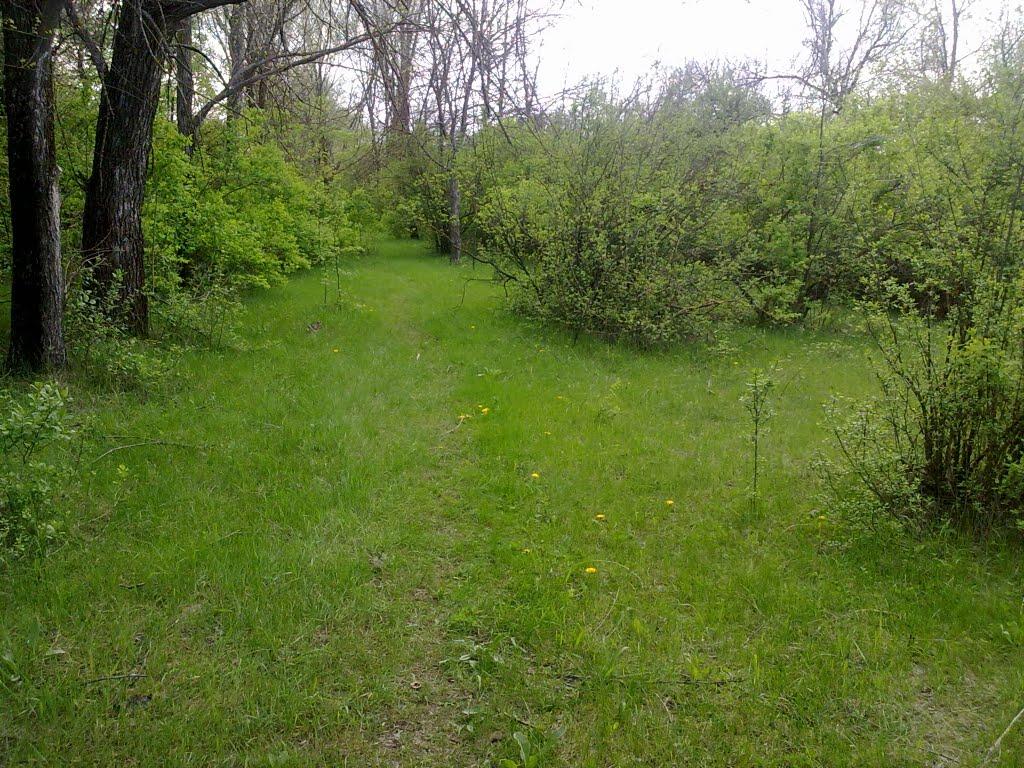 Червоні Поди з panoramio.com - Червоні Поди