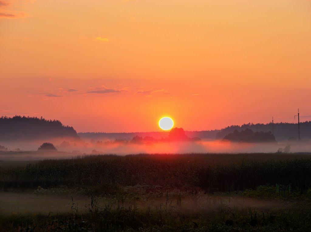 Макалевичі з panoramio.com - Макалевичі