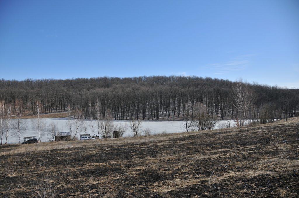 Велика Гомільша з panoramio.com - Велика Гомільша