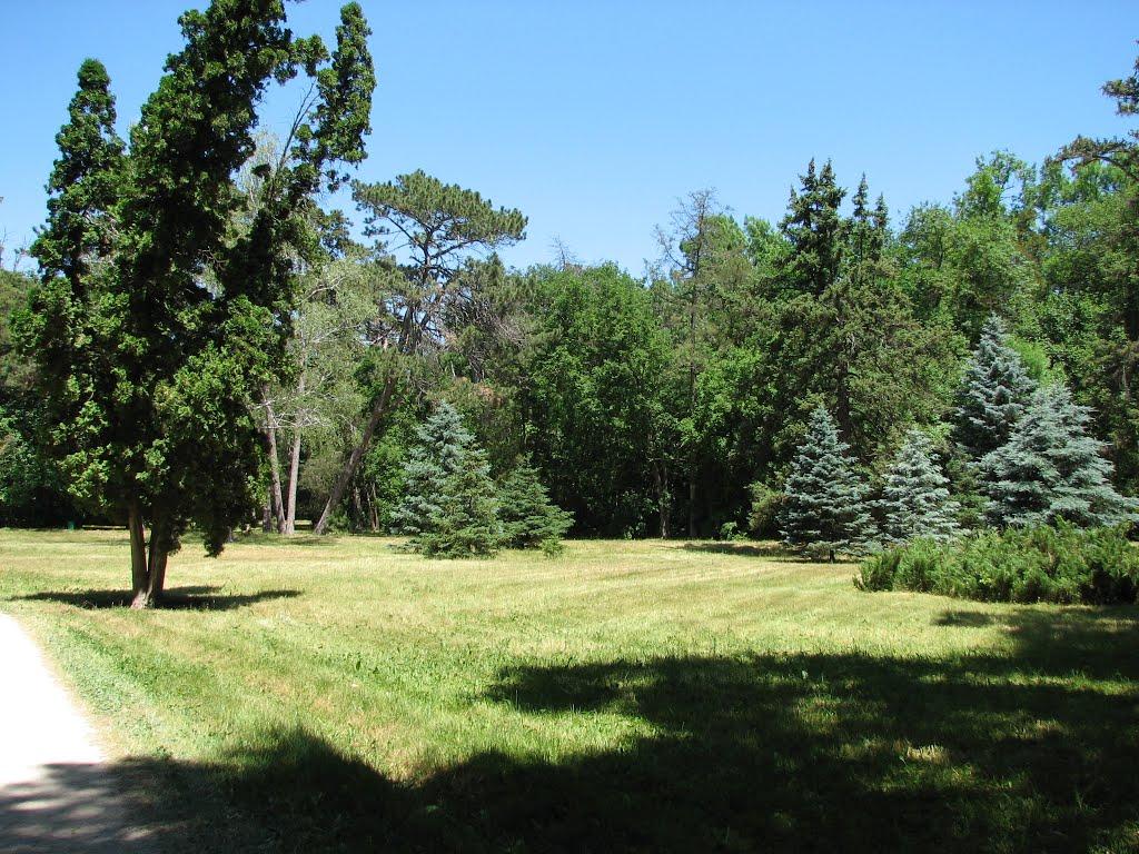 Асканія-Нова з panoramio.com - Askaniya-Nova