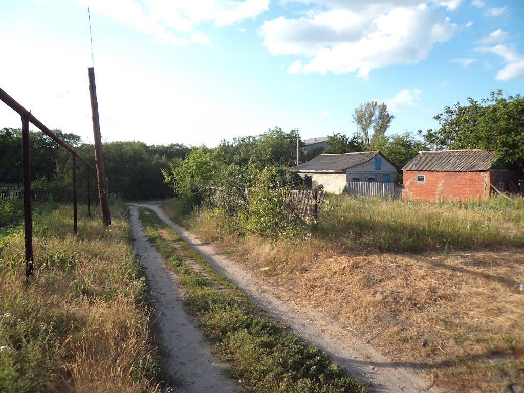 Могилів з panoramio.com - Могилев