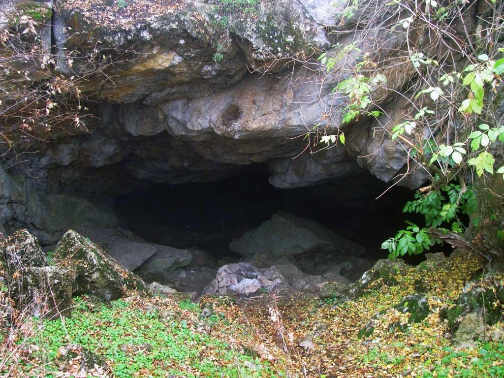 Новобобрівське з panoramio.com - Новобобрівське