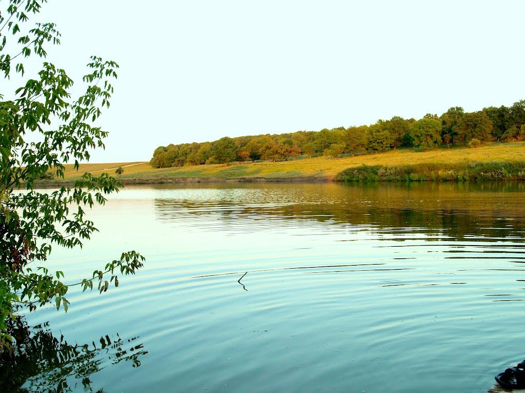 Михунки з panoramio.com - Михунки