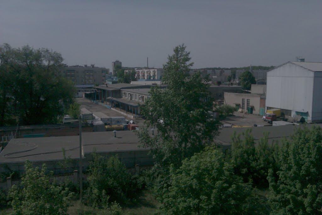 Плетенівка з panoramio.com - Pletenivka