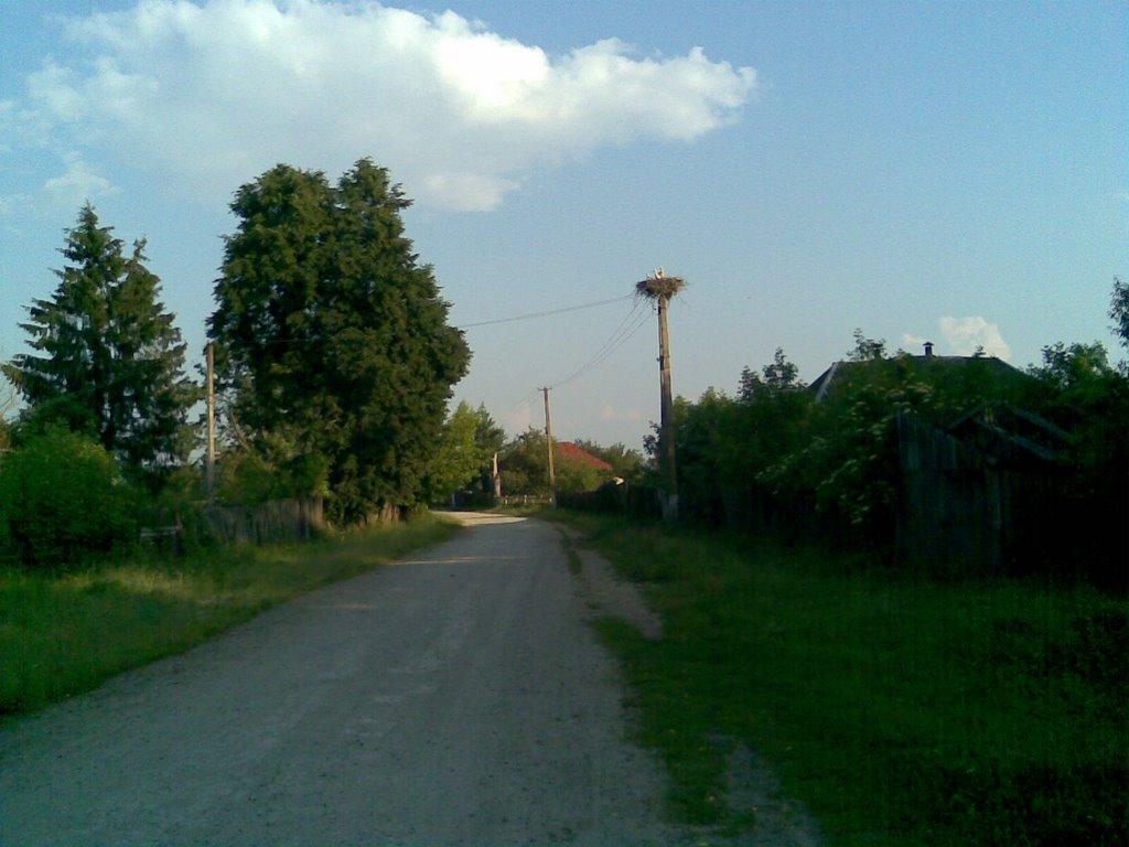 Любитове з panoramio.com - Любитово