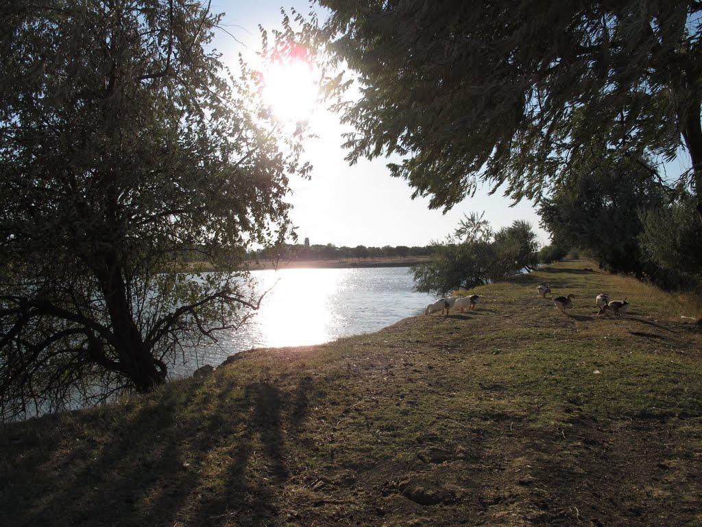 Муромське з panoramio.com - Муромское