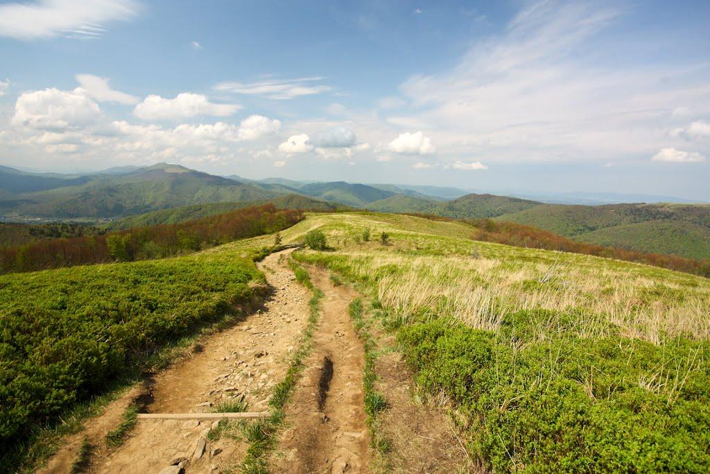 Дробишеве з panoramio.com - Дробышево