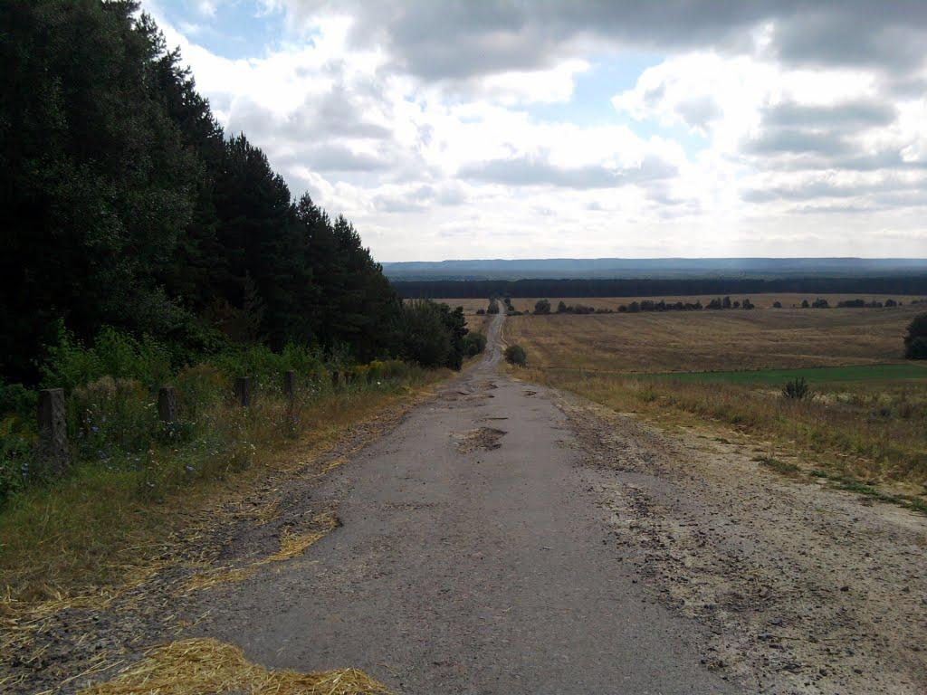 Ступно з panoramio.com - Ступно