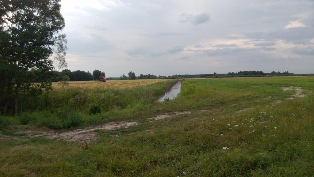 Ниговищі з panoramio.com - Ниговищи