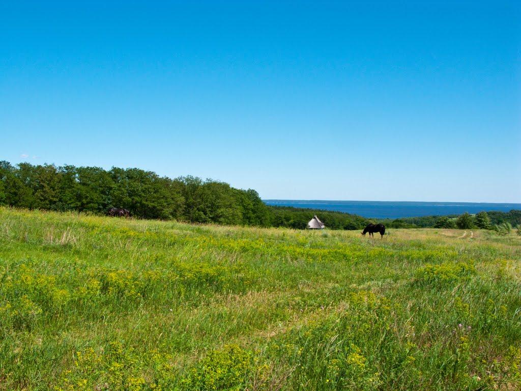 Луковиця з panoramio.com - Луковиця