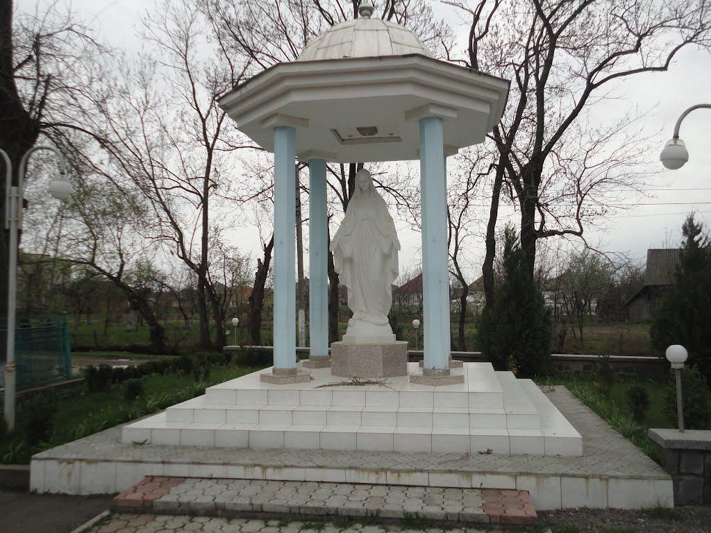 Олешник з panoramio.com - Олешник