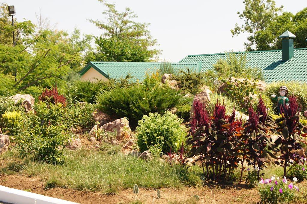 Саки з panoramio.com - Саки