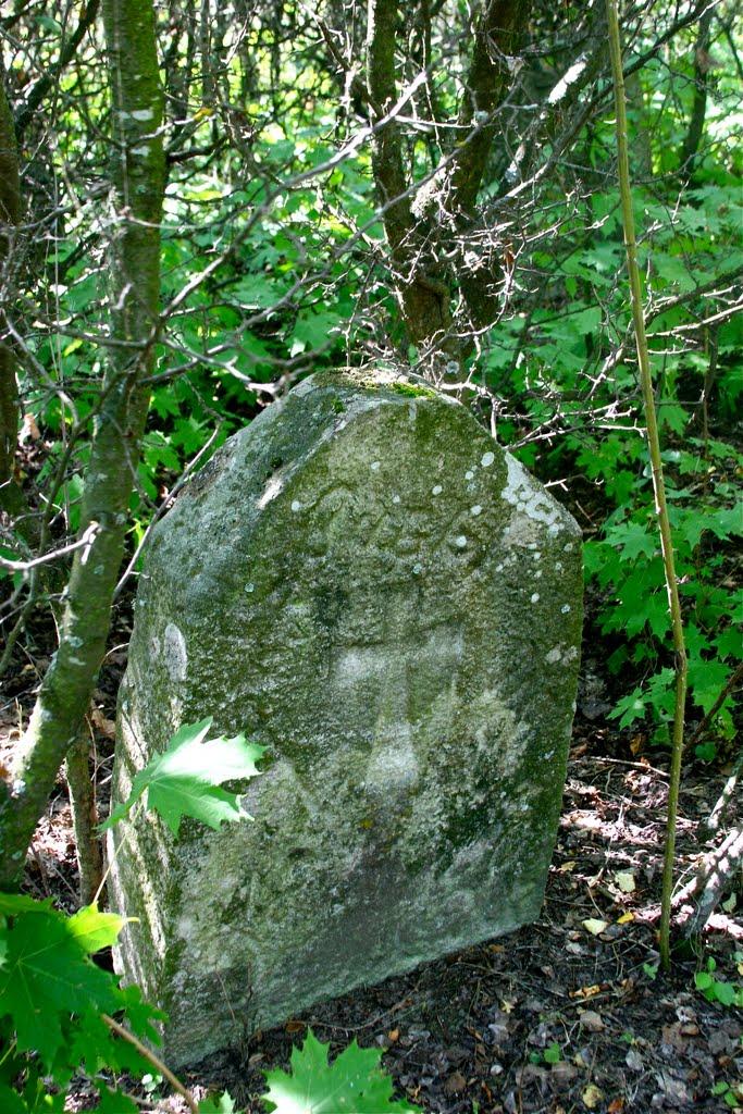 Луковиця з panoramio.com - Луковиця