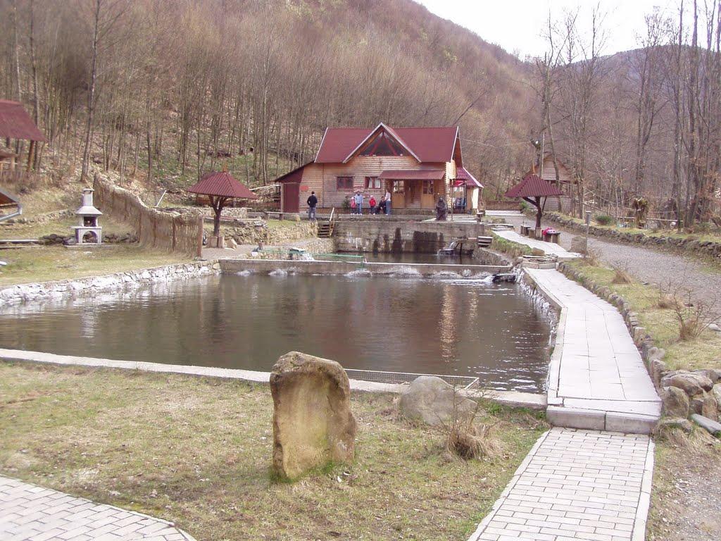 Раково з panoramio.com - Rakovo