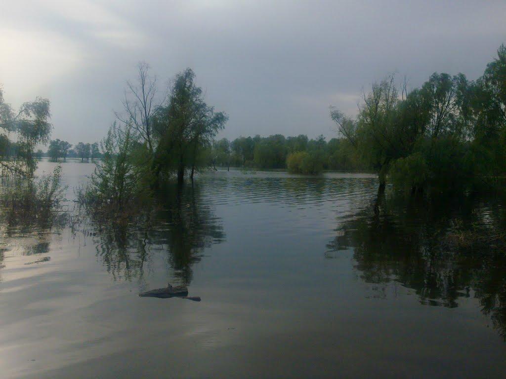 Вишеньки з panoramio.com - Vyshenky