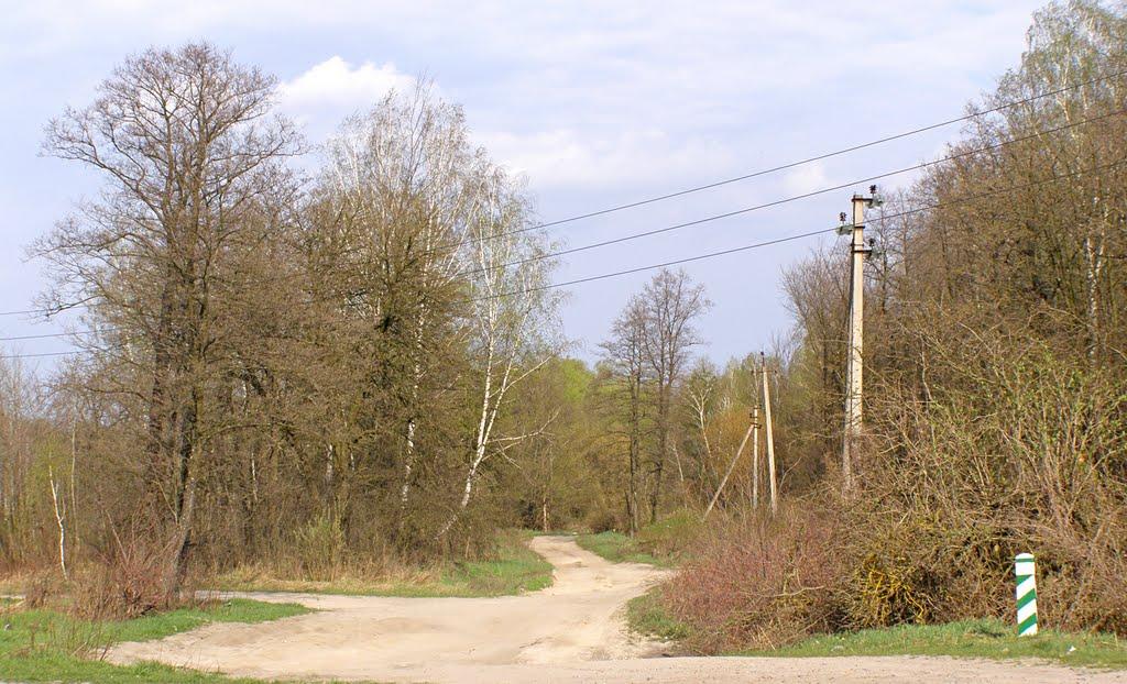 Заворичі з panoramio.com - Заворичи