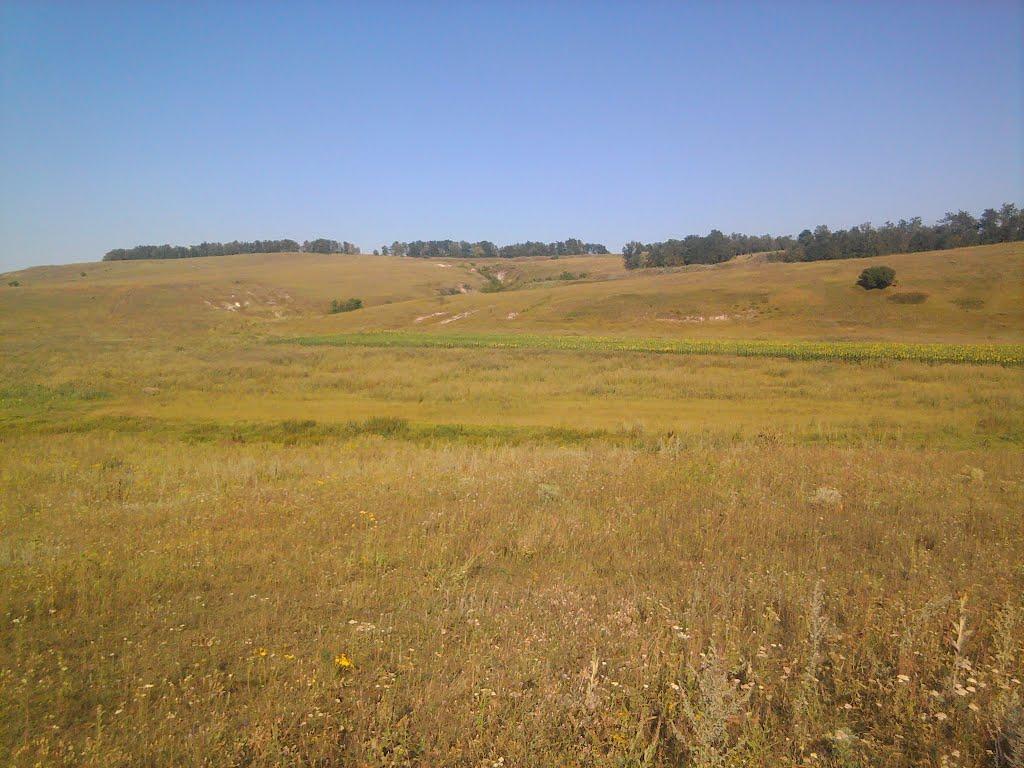 Березівка з panoramio.com - Березовка