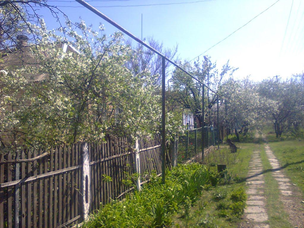 Якимівка з panoramio.com - Якимівка