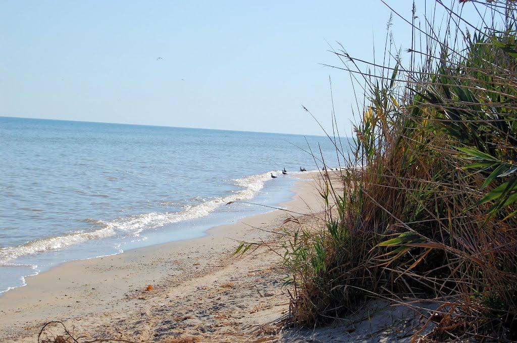 Партизани з panoramio.com - Партизани