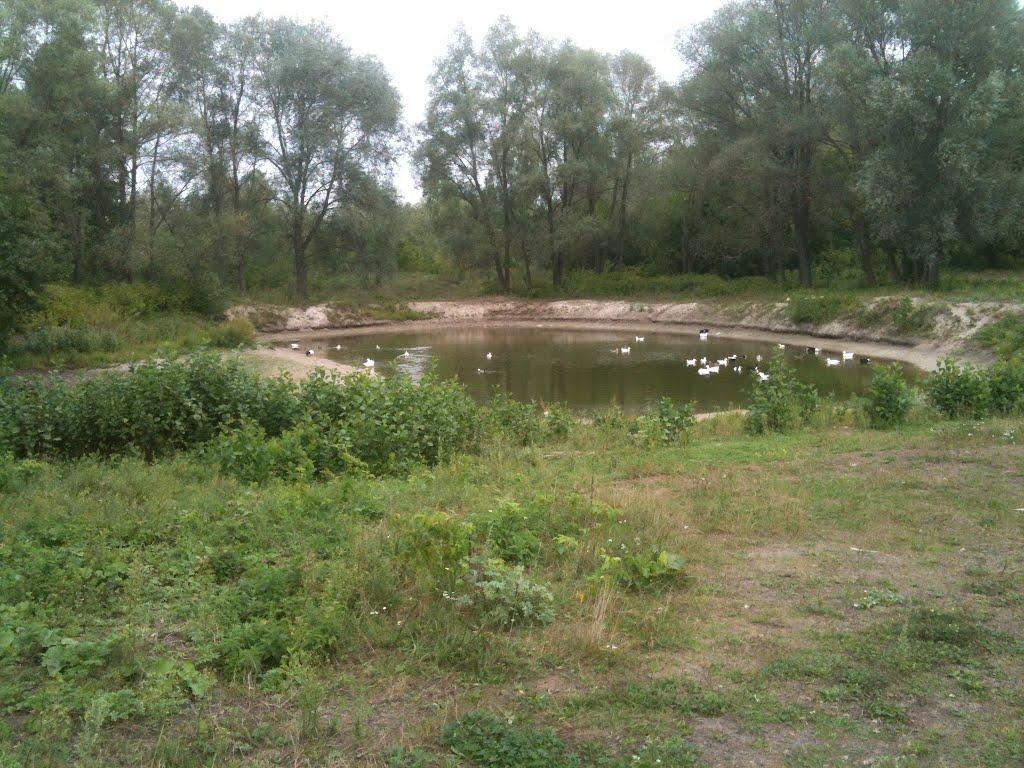 Любитове з panoramio.com - Любитово