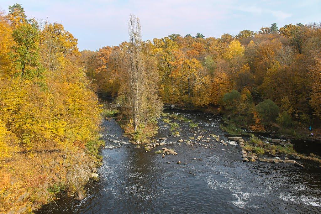 Буки з panoramio.com - Buky
