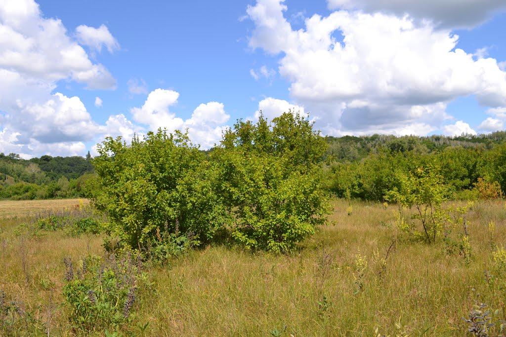 В'ятка з panoramio.com - Вятка