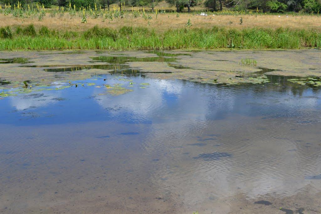 Будища з panoramio.com - Будища