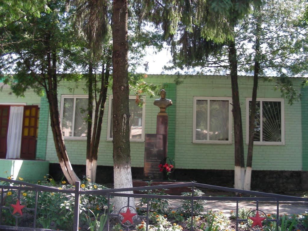 Вертіївка з panoramio.com