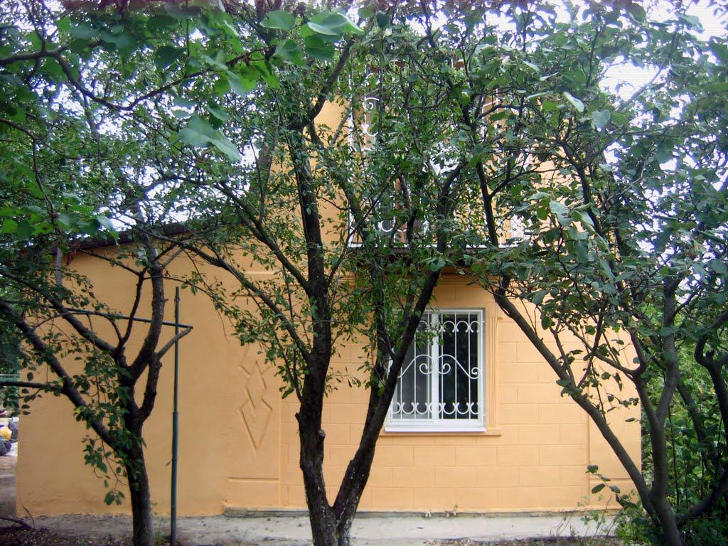 Луначарське з panoramio.com - Азовское