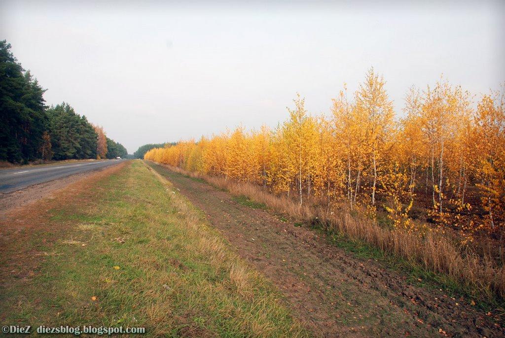 Металівка з panoramio.com - Metalivka