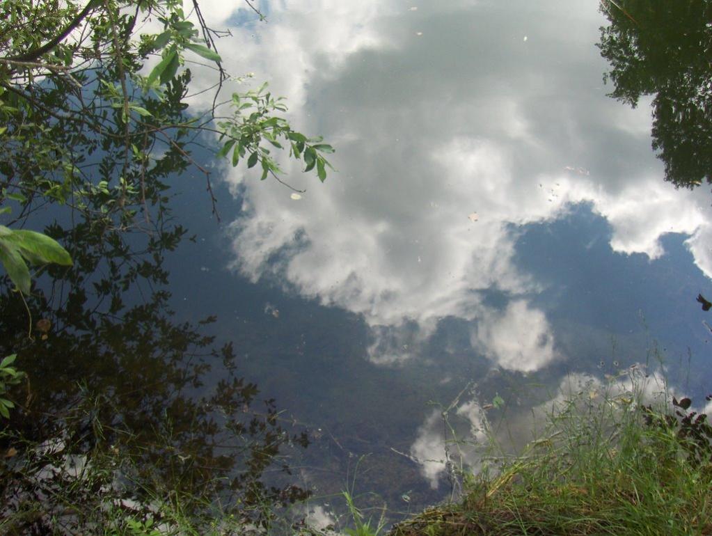 Лобачів з panoramio.com - Лобачів