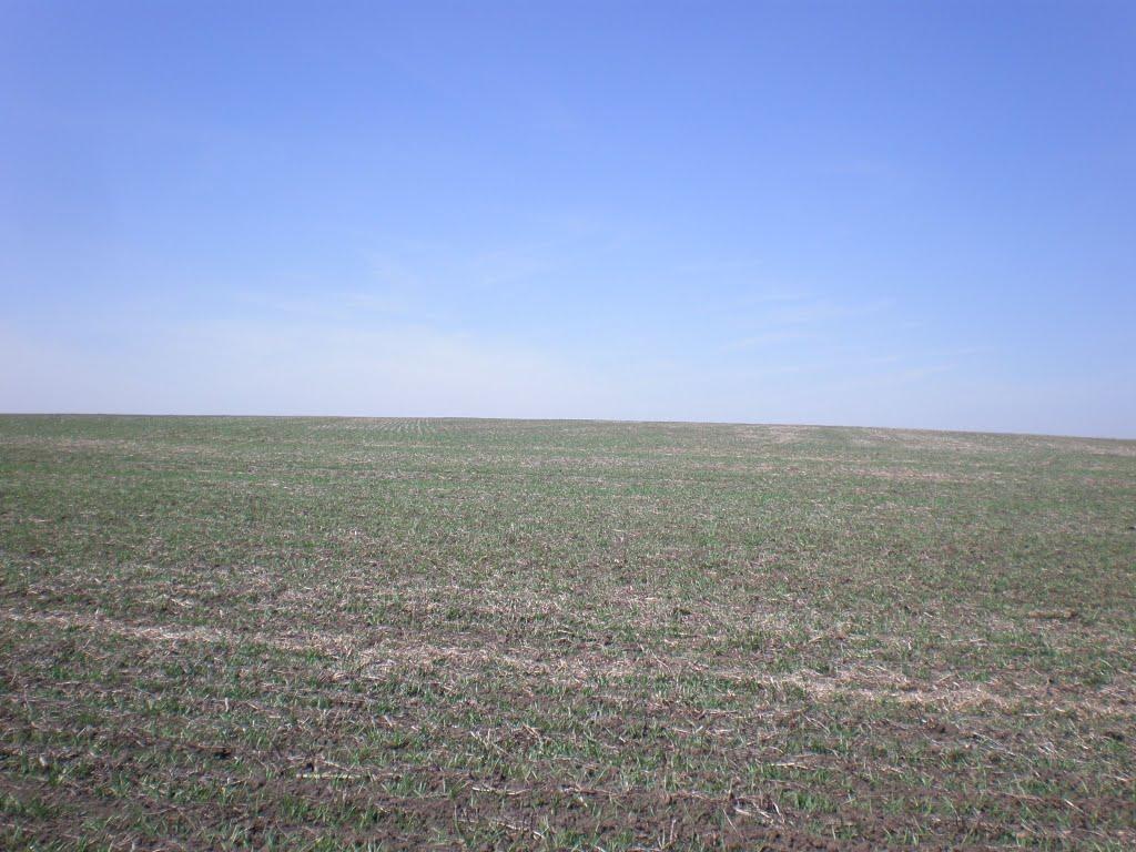 Кищенці з panoramio.com - Кищенцы