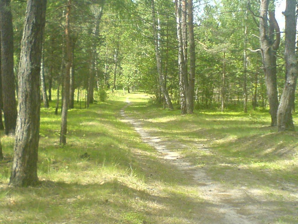 Вири з panoramio.com - Виры