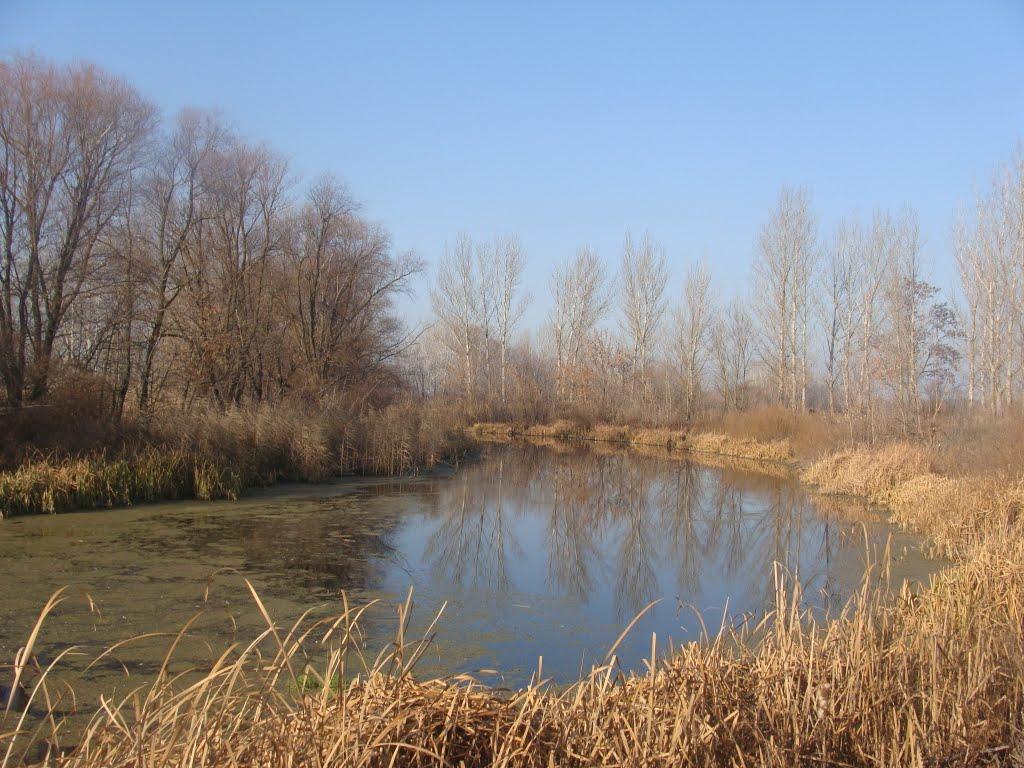 Балаклія з panoramio.com - Балаклея