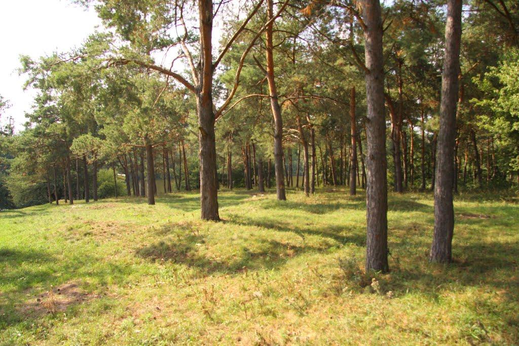Немирів з panoramio.com - Немиров