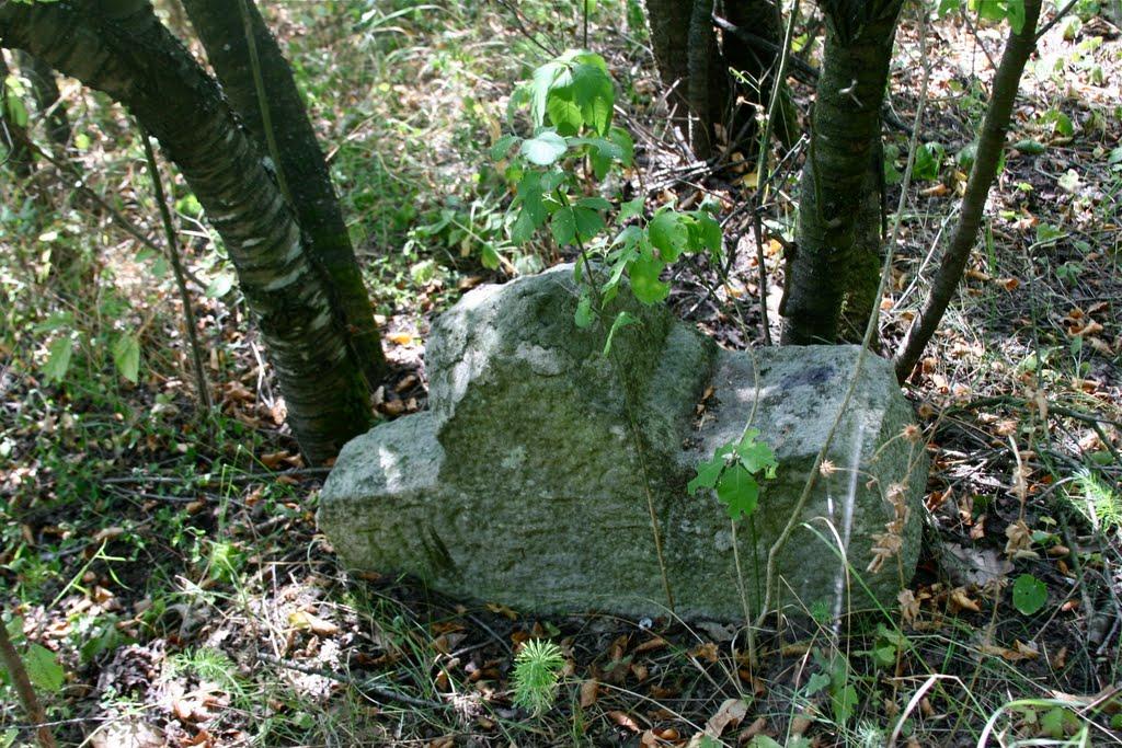 Луковиця з panoramio.com - Луковица