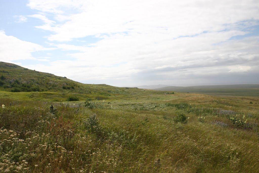 Борисівка з panoramio.com - Борисівка