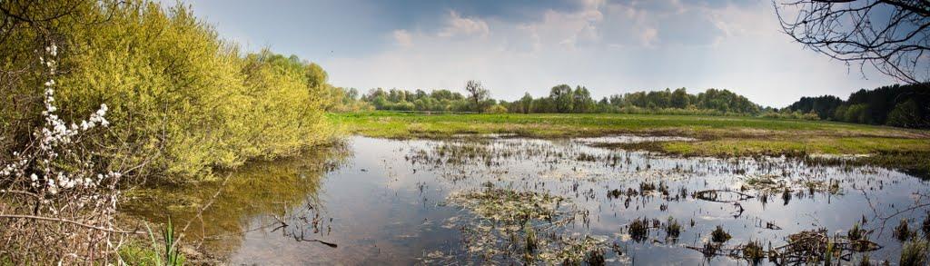 Гуща з panoramio.com - Гуща