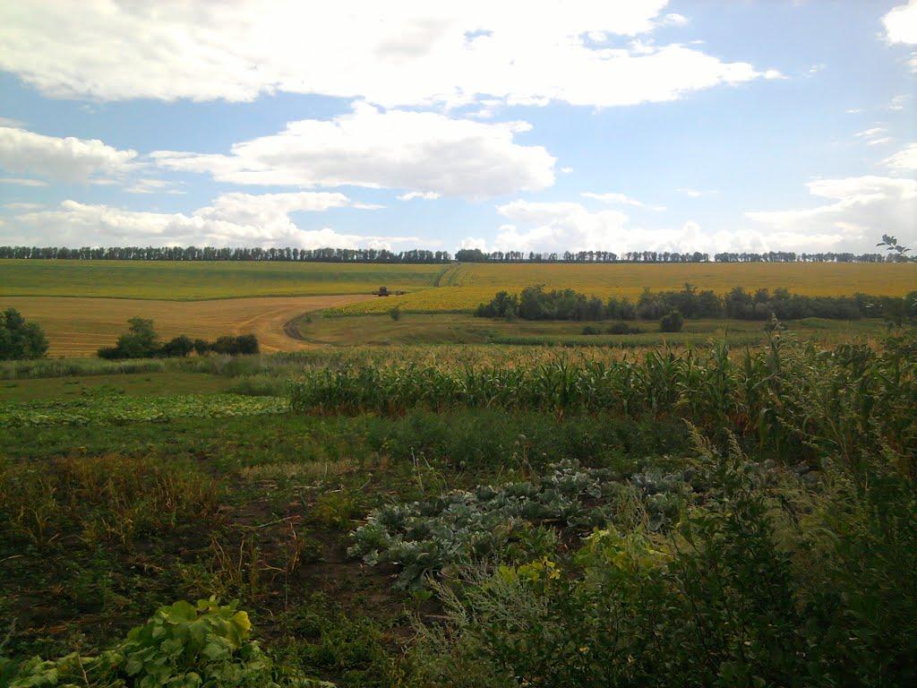Березівка з panoramio.com - Березовка